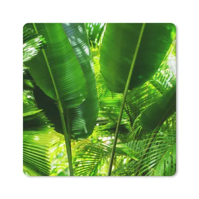 Produktbild von MuchoWow® Mauspad Mousepad Tropische Blätter im Dschungel Fotodruck 30x30 cm - Mousepads - Maus Mat - Pad - Mausunterlage - Gaming