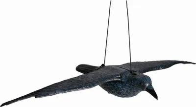 Produktbild von Siena Garden Rabe fliegend schwarz