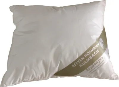 Produktbild von Hofmann Franken Kissen Kopfkissen Federkissen 40x50 cm 15% Daunen  250g waschbar