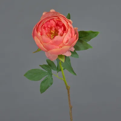 Produktbild von artplants.de Künstliche Pfingstrose BARBRO, Koralle, 65cm - Deko Pfingstrose