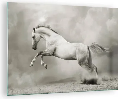 Produktbild von Bilder auf glas - Pferd Tier - 70x50cm - Glasbilder - Wandbilder - Bilder - Kunstdruck - zum Aufhängen bereit - Wanddekoration aus Glas - Glas Bilder - Wandbild auf Glas - Einteilig - GAA70x50-3542