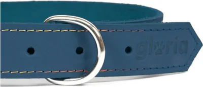 Produktbild von Hundehalsband Gloria Oasis Blau (1,5 x 40 cm)