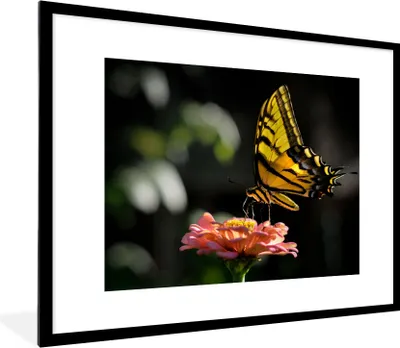 Produktbild von MuchoWow® Gerahmtes Poster Schmetterling - Botanisch - Blume 80x60 cm - Poster mit Schwarzem Bilderrahmen Wandposter Rahmen Foto Bilder - Schlafzimmer-Dekorationen - Fotoposter
