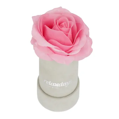 Produktbild von relaxdays Graue Rosenbox rund 1 Rose