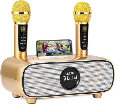 Zdjęcie produktu dla Przenośny zestaw karaoke Bluetooth z 2 bezprzewodowymi uchwytami na mikrofony, czytnikiem kart USB i TF, wejściem AUX oraz systemem głośników PA.