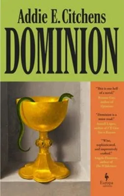 Imagen del producto de Dominion