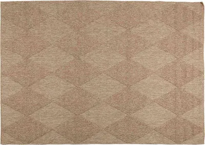 Image de vidaXL Tapis rectangulaires AGIRA Naturel 170 x 120 cm