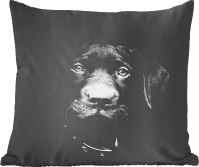 Produktbild von MuchoWow® Zierkissen Sofakissen Wohnzimmer Dekokissen 40x40 cm Nahaufnahme Labrador Welpe vor schwarzem Hintergrund in schwarz und weiß - Foto Kissen - Schlafzimmer Dekoration