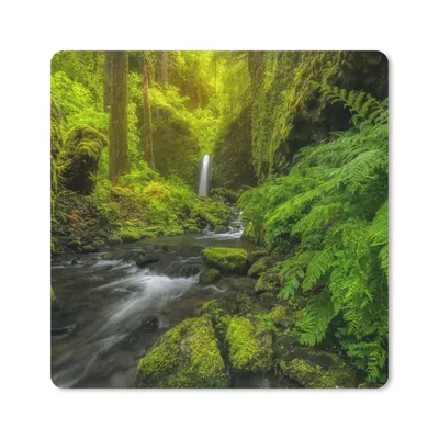 Produktbild von MuchoWow® Mauspad Mousepad Schönes Bild vom Dschungel 20x20 cm - Mousepads - Maus Mat - Pad - Mausunterlage - Desk Mat - Bureauartikeln
