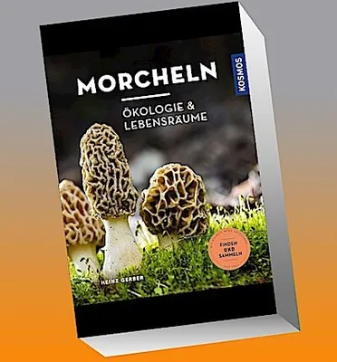 Immagine prodotto di Morcheln