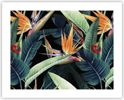 Produktbild von Poster - Poster ohne Rahmen - Pflanze Tropisch Blume - 50x40 cm - Wand Bild - Wanddeko - Wandbilder - Kunstposter - Wandposter - Bilder - Kunstdruck - Wanddekoration - Wandbild - P2XAA50x40-5093