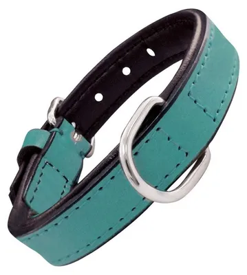 Immagine prodotto di Collare per cani Gloria Padded Turquoise 45 cm (45 x 2 cm)