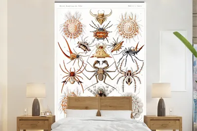 Produktbild von MuchoWow® Fototapete für Wohnzimmer oder Schlafzimmer Wandtapete Vinyl Motivtapete Retro - Spinne - Ernst Haeckel - Spinnen - 195x300 cm - Das Hintergrundbild