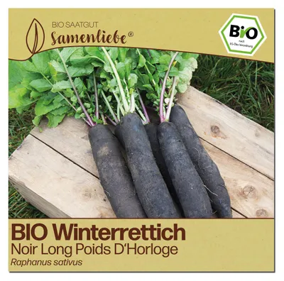 Produktbild von Samenliebe  Rettich Samen | Noir Long Poids D'Horloge - winterhart & schwarz & sehr scharf & lang - samenfestes  Saatgut