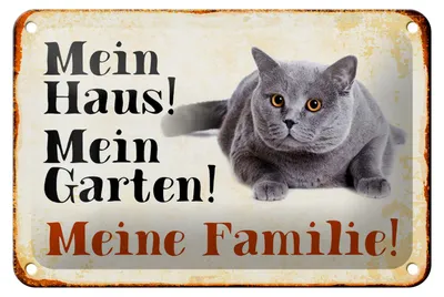 Produktbild von Blechschild Tiere 18x12cm Katze mein Haus Garten Familie