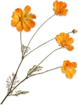 Produktbild von Warentuin Producten