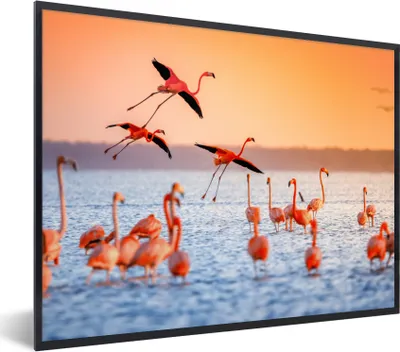 Produktbild von MuchoWow® Gerahmtes Poster Vogel - Flamingo - Wasser - Sonnenuntergang - Rosa 80x60 cm - Poster mit Schwarzem Bilderrahmen Wandposter Rahmen Foto Bilder - Schwarzem - Mit Gestell