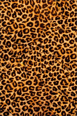 Produktbild von Wallario selbstklebendes Poster - Leopardenmuster  in orange schwarz, Größe: 61 x 91,50 cm