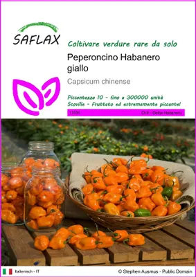 Immagine prodotto di SAFLAX  - Peperoncino Habanero giallo - 10 semi - Capsicum