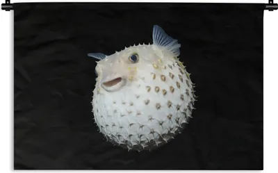 Produktbild von MuchoWow® Wandteppich Wandbehang Fische - Meerestiere - Porträt 60x40 cm Tapisserie Dekoration Wandtuch - Wanddekorationen