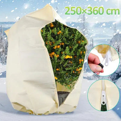Obrázok produktu pre Jayseuw 2x zimná ochrana 250x360cm pre črepníkové rastliny Palmy Ochrana proti mrazu Zimná ochrana rastlín Záhradné rúno 100g/m²