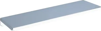 Zdjęcie produktu dla Półka Delabie W.-Mont. 120x450mm stal nierdzewna hgl.pol.