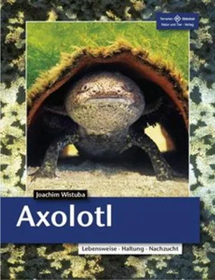 Immagine prodotto di Axolotl