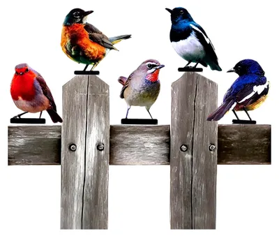 Produktbild von Vögel zur Dekoration von Zäunen, 2D-Skulpturen, Bunte Hofkunst, Vogel-Bastelstatue, Ornamente für Wand, Garten, Terrasse und Rasen