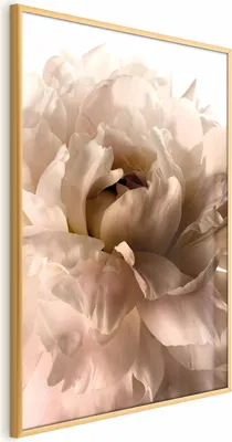 Produktbild von Posterpapier Poster - Soft Petals 21x30 cm Blumen b-C-0500-ao-a