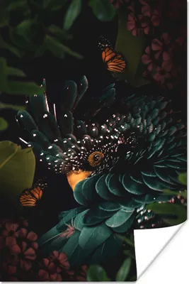 Produktbild von MuchoWow® Poster Kakadu - Vogel - Schmetterlinge 60x90 cm - Wanddekoration