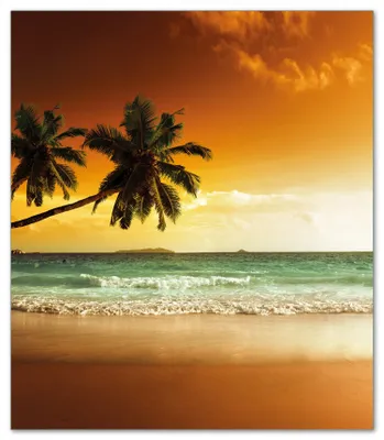 Produktbild von Wallario Herdabdeckplatte aus Glas, Größe 52 x 60 cm 1-teilig, Motiv Palmen am Sandstrand bei untergehender Sonne