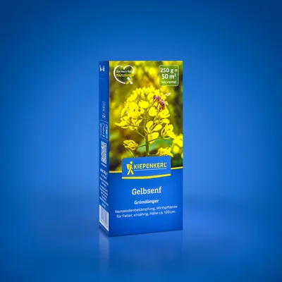 Produktbild von Kiepenkerl Gründüngung Gelbsenf Sinapis alba 0,25 kg
