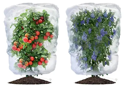 Produktbild von Pflanzenschutznetz für Garten, 2 Stück Insektenschutznetz mit Reißverschluss und Kordelzug für Pflanzen, Gemüse, Obst und Blumen zum Schutz vor Schädlingen