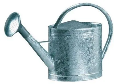 Productafbeelding van Unyqoos® gieter van 13 liter, gemaakt van verzinkt staal, met een kunststof sproeikop en een verzinkt zeefje – voor efficiënte tuinirrigatie