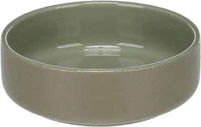 Image de Gamelle en céramique pour petits chiens, 350 ml, lavable au lave-vaisselle, ronde, verte