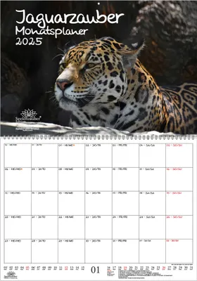 Produktbild von Jaguarzauber Planer DIN A2 Kalender für 2025 Jaguar - Seelenzauber