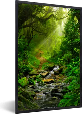 Produktbild von MuchoWow® Gerahmtes Poster Dschungel - Wasser - Laub - Sonne - Natur 40x60 cm - Poster mit Schwarzem Bilderrahmen Wandposter Rahmen Foto Bilder - Papierdruck - Wandbilder