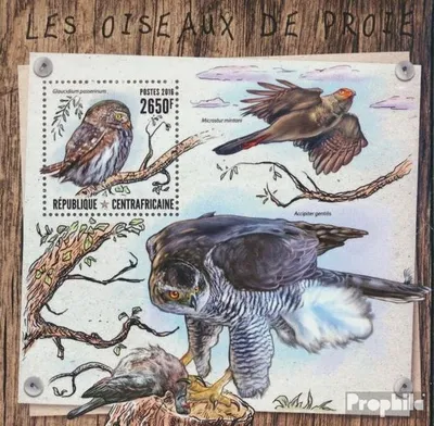 Produktbild von Briefmarken Zentralafrikanische Republik 2016 Mi Block 1542 (kompl. Ausgabe) postfrisch Raubvögel