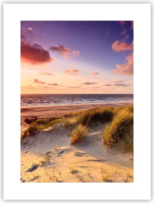 Produktbild von Poster - Poster ohne Rahmen - Meer Strand Düne - 30x40 cm - Wand Bild - Wanddeko - Wandbilder - Kunstposter - Wandposter - Bilder - Kunstdruck - Wanddekoration - Wandbild - P2XPA30x40-3540