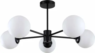 Productafbeelding van Roma hanglamp, 5xE14, zwart, model LP-1345/5P, merk Light Prestige