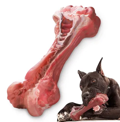 Produktbild von Elzusha – Unzerstörbares Hundespielzeug aus Naturkautschuk für große Hunde und starke Kauer