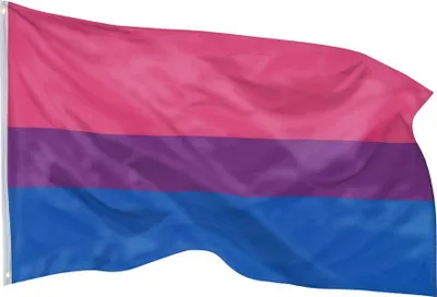 Zdjęcie produktu dla PHENO FLAGS Flaga biseksualności Pride 90 x 150 cm Flaga biseksualności LGBT 2 oczka