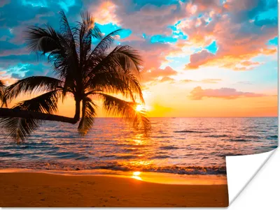 Produktbild von MuchoWow® Poster Palme - Sonnenuntergang - Horizont - Strand - Meer - Tropisch 160x120 cm - Foto Plakat
