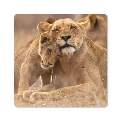 Produktbild von MuchoWow® Mauspad Mousepad Löwe - Wilde Tiere - Jungtier 20x20 cm - Mousepads - Maus Mat - Pad - Mausunterlage - Desk Mat - Bureauartikeln