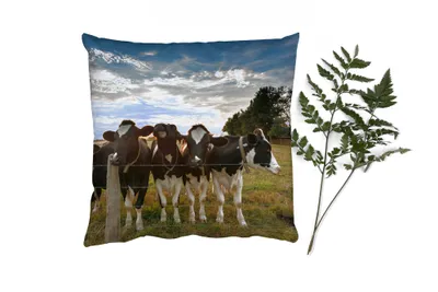 Produktbild von MuchoWow® Zierkissen Sofakissen Wohnzimmer Dekokissen 45x45 cm Tiere - Kuh - Schlafpolster - Polster für das Sofa