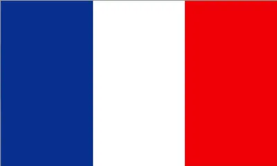 Produktbild von Aufkleber Flagge Frankreich 65 x 105 mm Fanartikel