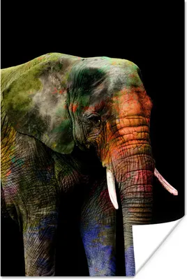 Produktbild von MuchoWow® Poster Elefant - Farbe - Schwarz 40x60 cm - Plakate für die Wand - Poster Babyzimmer