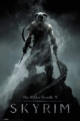 Produktbild von SKYRIM - Poster Maxi 91,5cmx61cm - Dragonborn