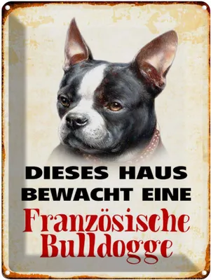 Produktbild von vianmo Blechschild 40x30 cm Hund Haus bewacht französisch Bulldogge