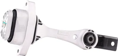 Produktbild von TEDGUM Halter Motoraufhängung 00725649 hinten für VW Golf IV Schrägheck (1J1)
